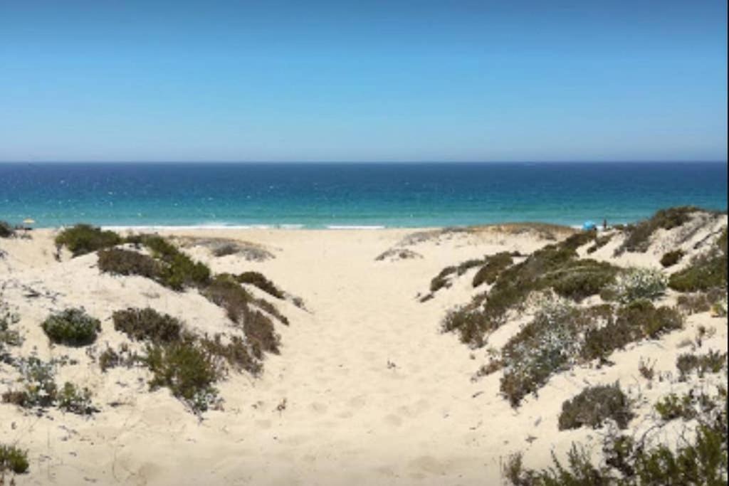 Beautiful 3 Bedroom In Torre I Villa Comporta